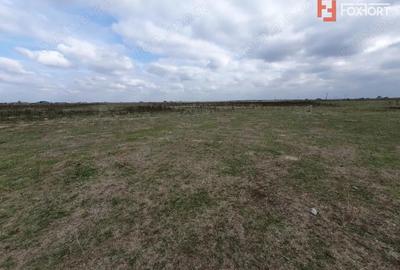 Teren de 1255 mp, în Giroc