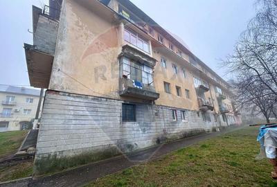 Apartament de vanzare la demisol Cavnic - 2