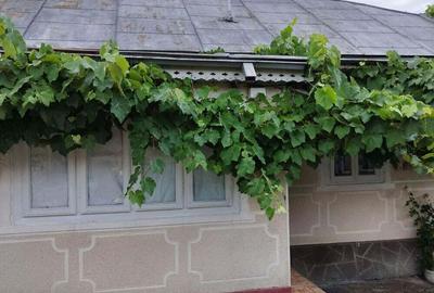 Casă cu 4 camere în Dragosloveni (Soveja) - 3