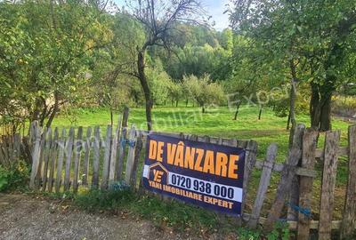 Teren de vanzare in comuna Arefu, sat Arefu, jude? Arge?. - 7