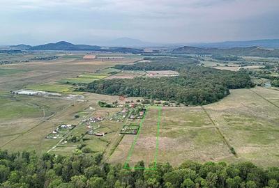 Teren Extravilan - 1