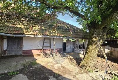 Casa cu livada 2880 mp in Adea la 4km de Chi?ineu-Cri? - 9