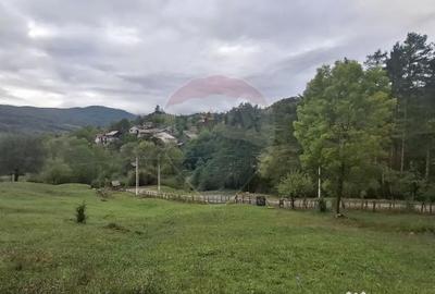 Teren de 4000 mp, în Moroeni - 6