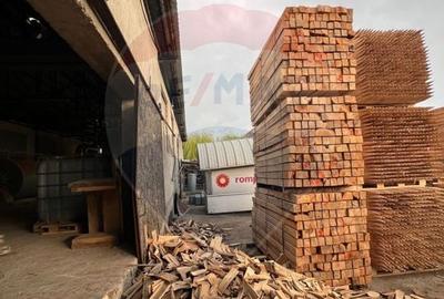 Spațiu industrial, de 7,756 mp, în Cerăt - 17