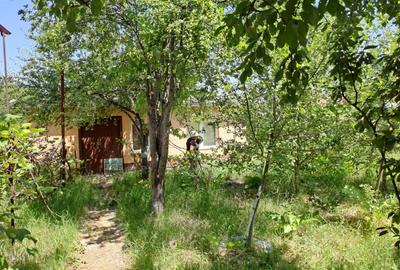 Vand casa batraneasca sat Cucorani - 10