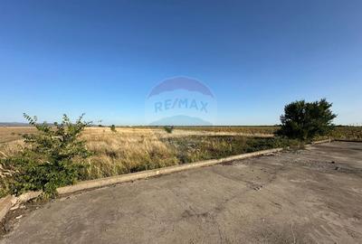 Teren extravilan de vanzare - 19.963 mp, E68 Mandruloc-Vladimirescu - 6