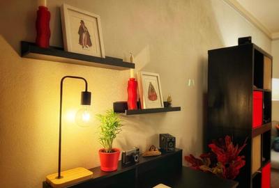 Apartament 1 camera - zona Praporgescu - 8