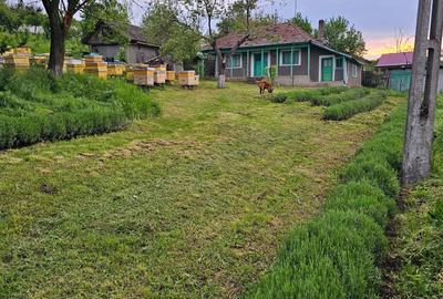 Casă cu 2 camere în Roșu - 2