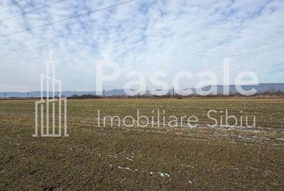 Teren de 5000 mp, în Central