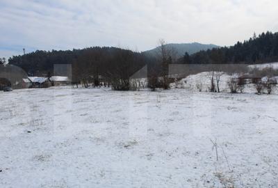 Teren intravilan 4.655 mp in Covasna zona lini?tita, - 1