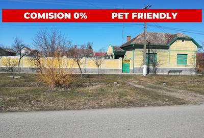 CASĂ MARE in Nadlac cu teren generos 2095mp - 4