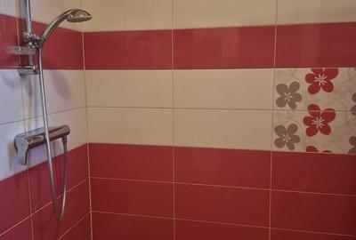 Garsonieră decomandată în Ciorogârla - 4