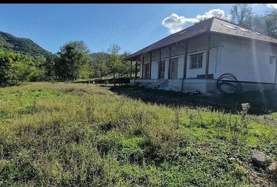 Casă cu 2 camere cu Teren 6296 Mp în Poiana Ampoiului - 3
