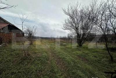 Teren de 4000 mp, în Debarcader - 3
