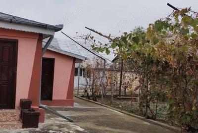 Casă cu 3 camere în Cotești - 7