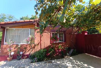 Casă cu 4 camere cu Teren 705 Mp în Copăcel - 17