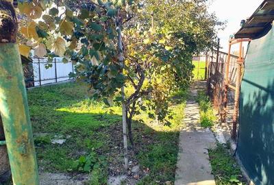 Casa cu teren mare in Cefa cu triplu front stradal - 9