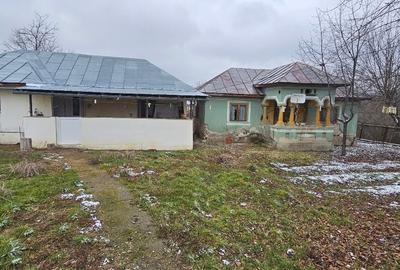 Casă individuală cu 2 camere cu Canalizare în Mitrofani - 2
