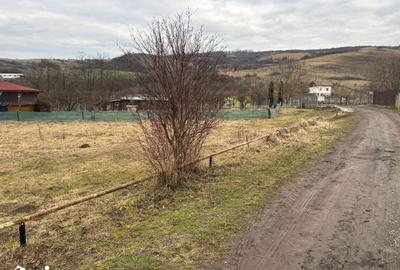 Teren de 1200 mp, în Borhanci