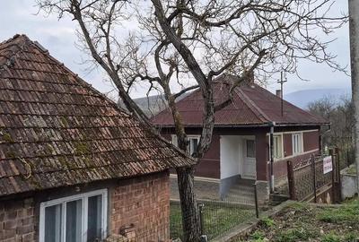 Casă cu 2 camere cu Teren 10 Mp în Sângeorgiu de Meseș - 2