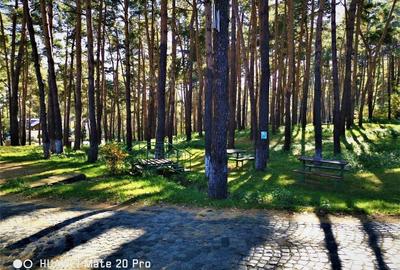 Hotel/Pensiune, de 12 mp, în Moinești - 2