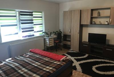 APARTAMENT O CAMERA DECOAMNDAT centrala proprie - 2