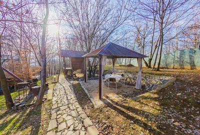 VILA DE VIS CU TEREN GENEROS, DE VANZARE - 51