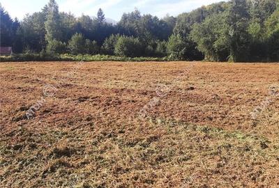 Teren intravilan de vanzare 1856 mp in Avrig zona Valea Avrigului - 5