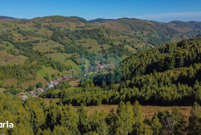 Teren de 1000 mp, în Băișoara - 3