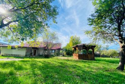 Casa superba Valenii de Munte , Teren Generos 2031 mp ! - 11