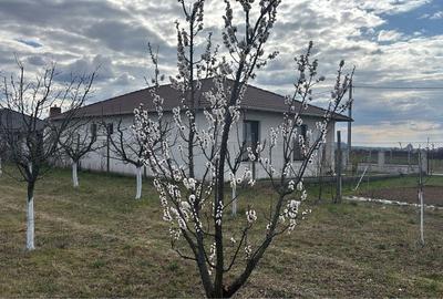 Spațiu comercial, în Central - 2