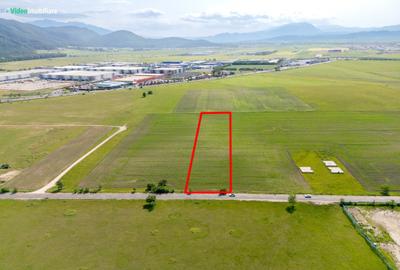Teren pentru complex blocuri sau case, Bartolomeu, 40 m front stradal - 5