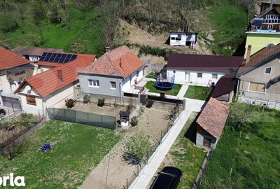 Casă cu 3 camere cu Teren 4700 Mp în Vințu de Jos - 11