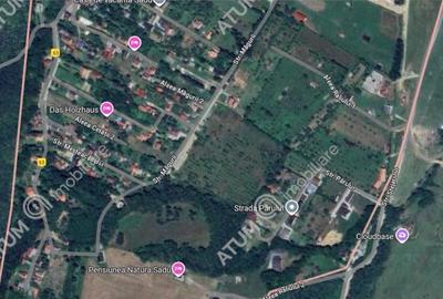 Teren de 12149 mp, în Sadu