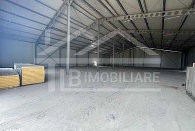 Spațiu comercial, de 1,250 mp, în Criș - 2