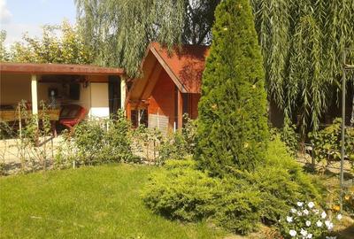 Casă cu 2 camere cu Teren 900 Mp în Adjud - 7
