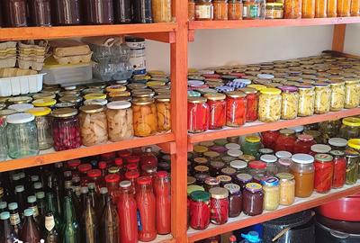 Casă cu 3 camere cu Teren 2826 Mp în Saca - 15