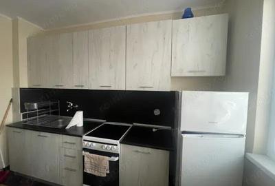 Apartament cu 2 camere de inchiriat in zona Noua - 3