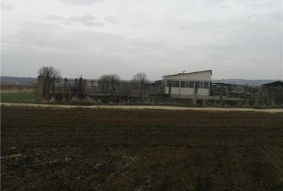 Teren de 8800 mp, în Vinerea - 3
