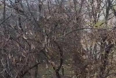 Apartament cu 3 camere semidecomandat în 1 Decembrie 1918 - 4