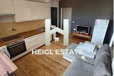 Apartament cu 3 camere semidecomandat, mobilat în Iosefin - 2