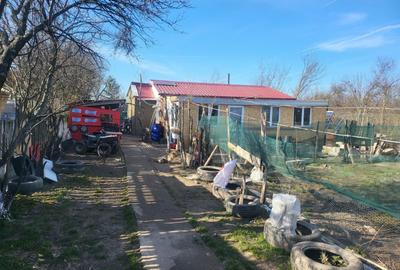 Casă cu 3 camere în Letca Nouă - 3