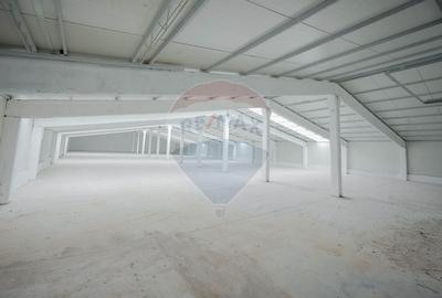 De vânzare – 2 hale industriale, 5.050 mp utili, Palota - 15