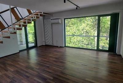 Inchiriere spatiu birouri Centru zona Republicii, Cluj-Napoca - 3