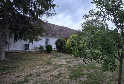 Apartament cu 2 camere decomandat în Orțișoara - 1