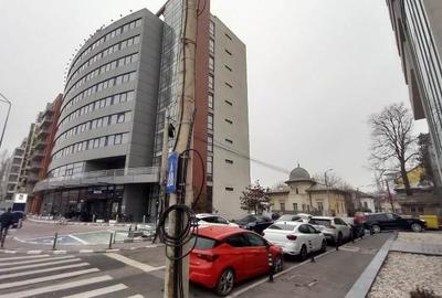 Cotroceni(Palatul Cotroceni),Vila D+ P+M cu 649 mp teren - 13