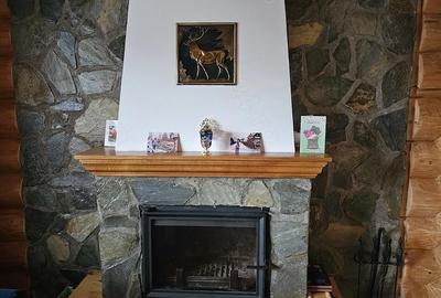 Casă cu 3 camere cu Teren 3042 Mp în Vale - 7