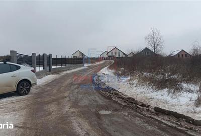 Teren de 6383 mp, în Bârnova - 8