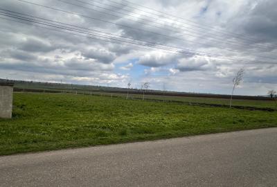 Teren de 10000 mp, în Exterior Vest - 3