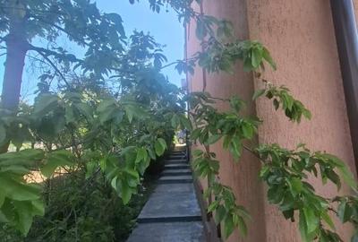 Urgent ocazie investitie casa 400mp+spatii  comerciale, rezidential D+P+E+M - 11